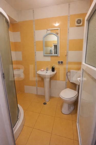 Garsoniera de vanzare in Buna Ziua – ideala pentru investitie sau locuit - 2