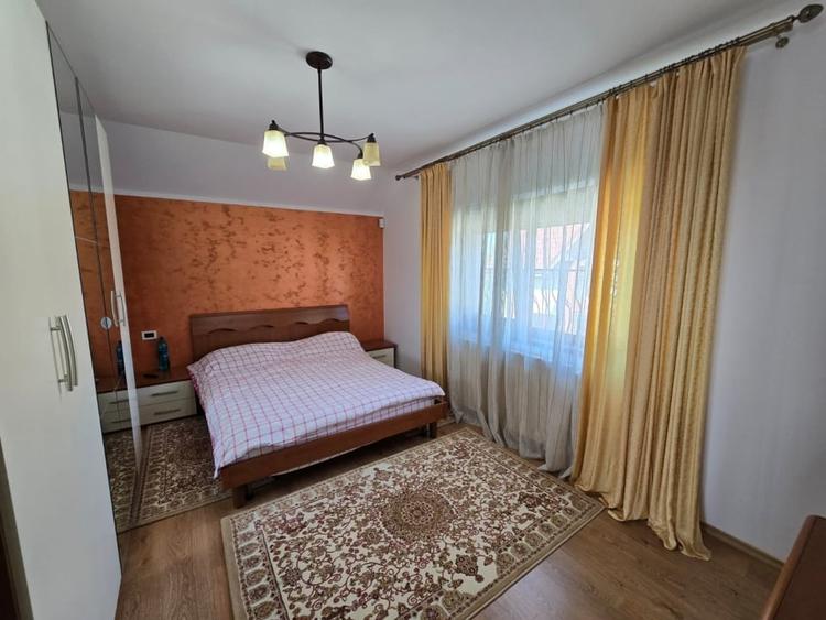 Casa de Vis, Serbanesti - 19