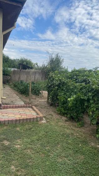 Casa cu pod mansardabil, 20 km de Delta Dunarii - 11