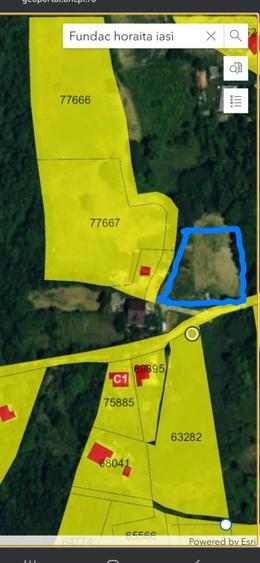Parcele de vânzare 900 respectiv 600 m - 7