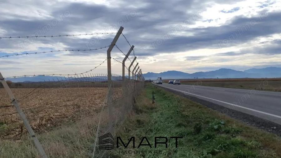 Teren intravilan Calea Feldioarei - 1