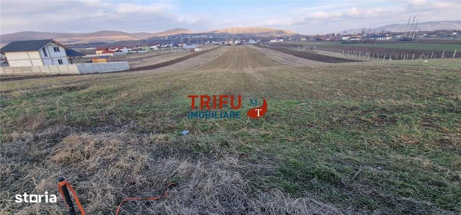 Teren de vanzare Zona Barabant! - 2