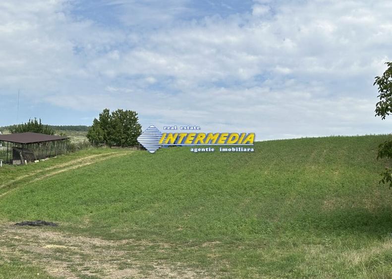 Teren Intravilan Ighiu-Telna 2060 mp d= 20m asfalt apa gaz curent canal view sup - 4