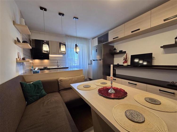 Apartament spatios cu 2 camere Parcul Trandafirilor Racadau - 12