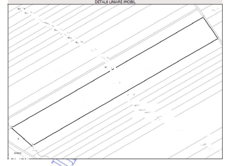 Cota 3/12 Teren extravilan Loc. Fibis, jud. Timis - 5