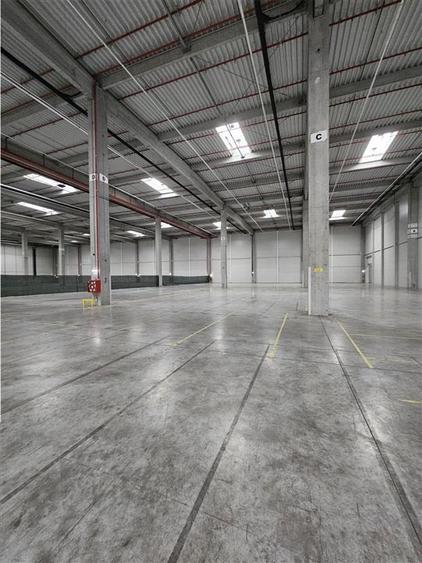 Spatiu Industrial - 6000 mp - Logistica - Productie - Depozitare - Distributie - 5