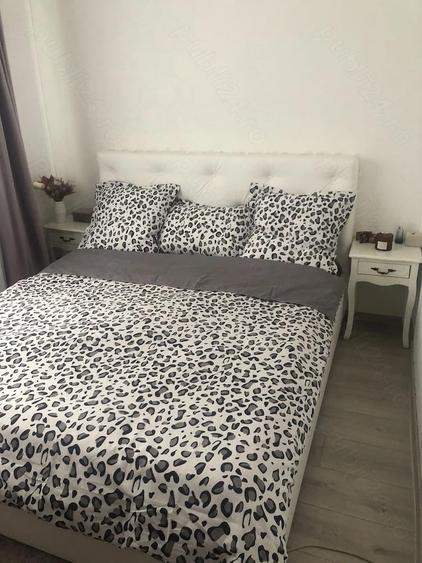 Apartament 3 camere Dr Tr Severin - 8