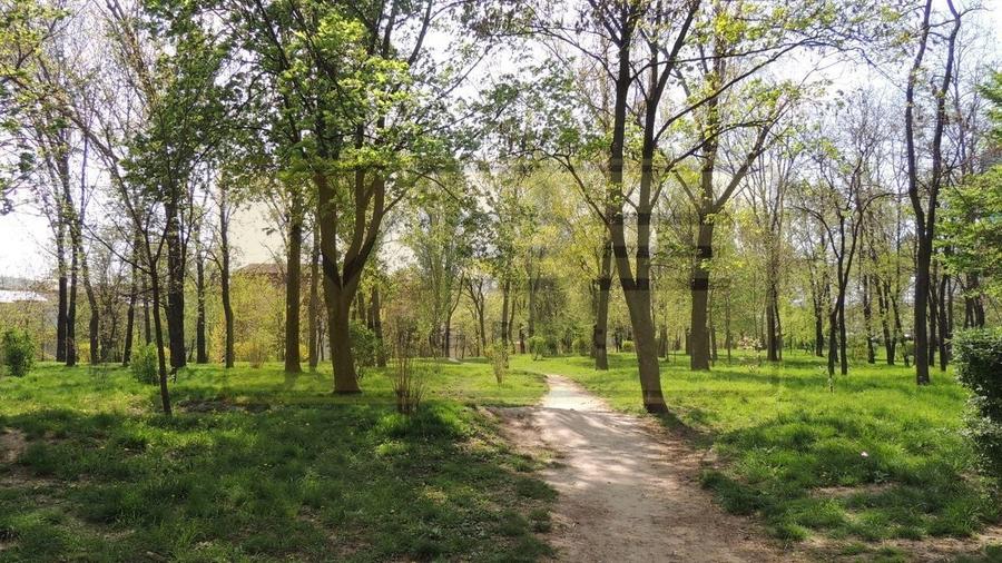 Apartament 3 camere premium Tatarasi Parcul Ciurchi - 65