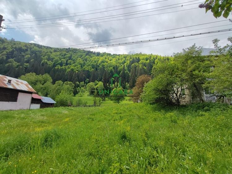 Teren Voineasa/Intravilan/5500 mp - 4