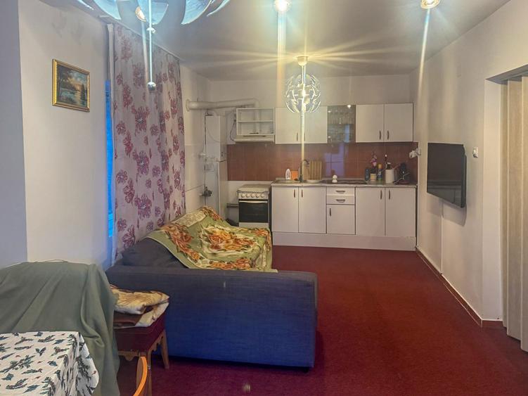 Casă de vacanță, P+E, teren 500mp, foișor cu grătar, Sinaia - 4