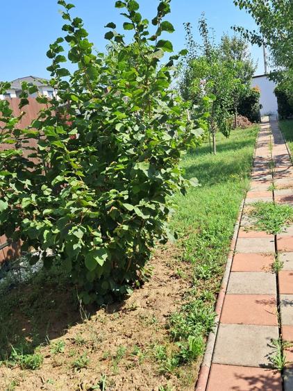 Dumbravita-apartament in triplex-190.000 € - 40