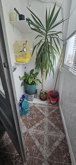 2 camere Soseaua Giurgiului /centrala 53 mp - 4