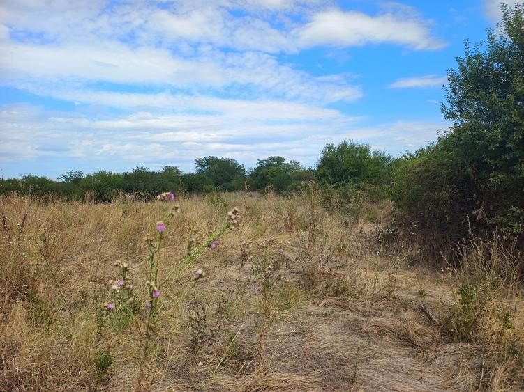 Teren Intravilan de vanzare-Sector 5 Bucuresti - 2