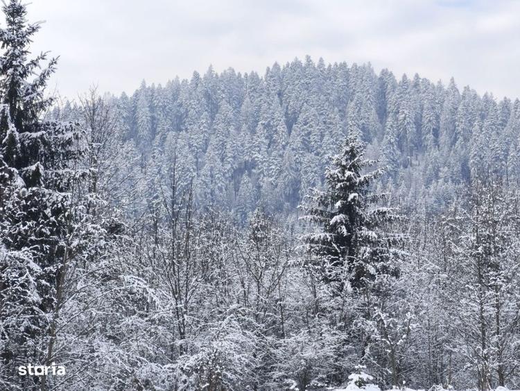 Teren intravilan, 22600mp, zona Manastirea Sucevita - 3