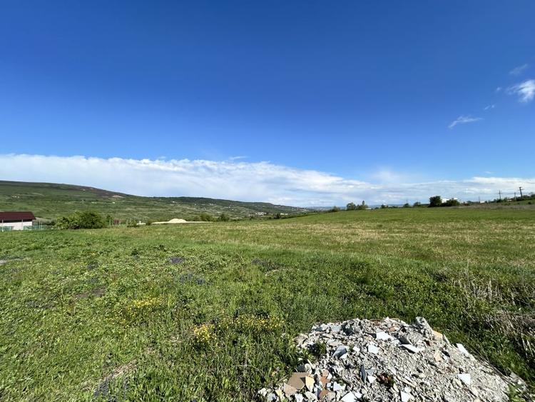 Teren Valea Chintaului / Cluj 5.547mp  parcelabil - 2