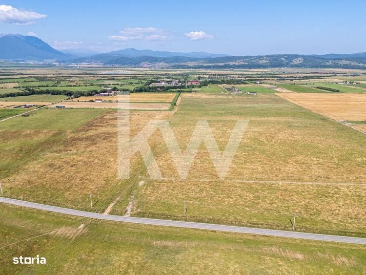 Teren de vanzare, 2.000 mp in Glajerie, Rasnov, parcelat - COMISION 0% - 4