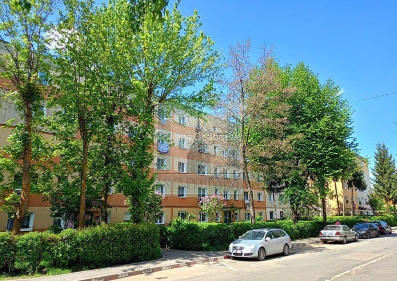 Apartament 2 camere in Electroprecizia Sa?cele, Bras?ov Apartament 2 camere in Electroprecizia Sa?cele, Bras?ov