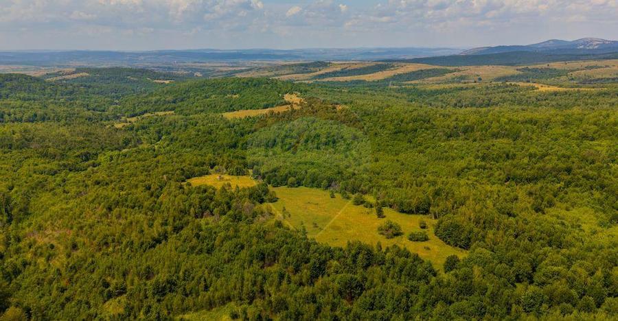 COMISION 0% Teren Grid/Inima Naturii/ Oportunitate de inv... - 13