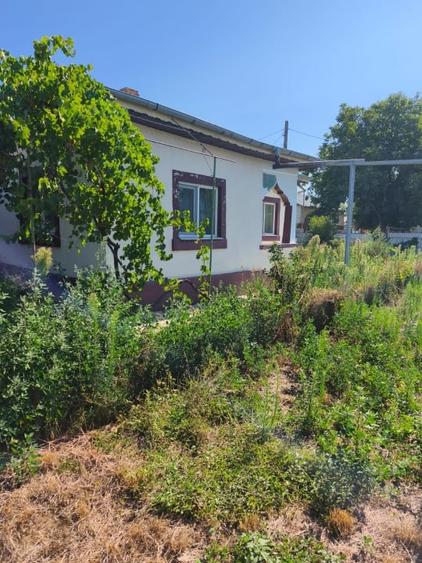 Casa de vanzare in Garbovi, jud. Ialomita - la doar 70 km de Bucuresti! - 15