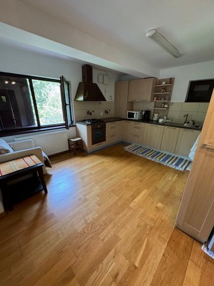 Casa de vacanta Predeal - 5