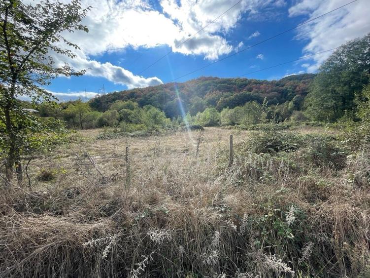 Parcele de teren intravilan in localitatea Eselnita, strada Aninilor - 4