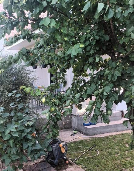 Casa P+M - Valu lui Traian - 155.000 euro (Cod E11) - 12