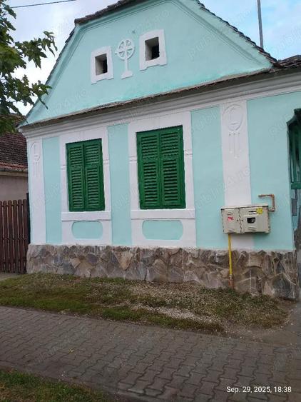 Locuin?a ideala pentru via?a rurala sau turism Dane?, Mure? - 1