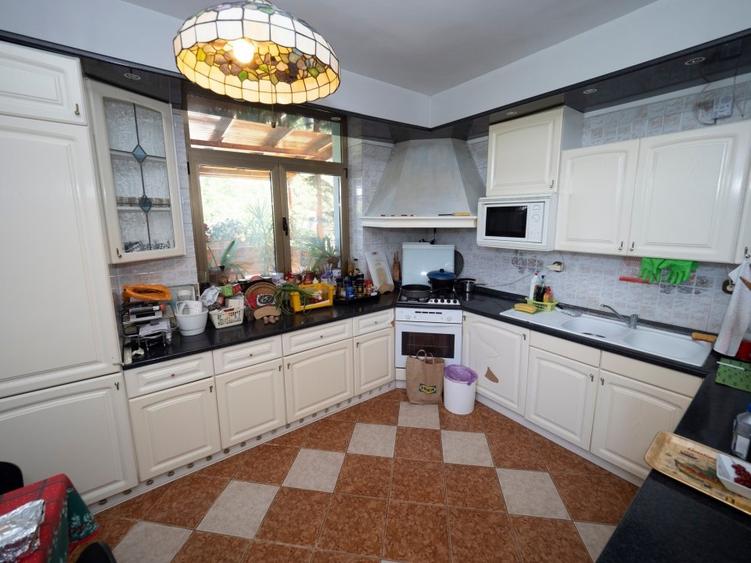 VANZARE DOMENIU CU DESCHIDERE  LA LACUL SNAGOV - 11