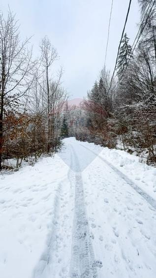 Teren 1,794mp Moroeni / Strada Lespezi - 4