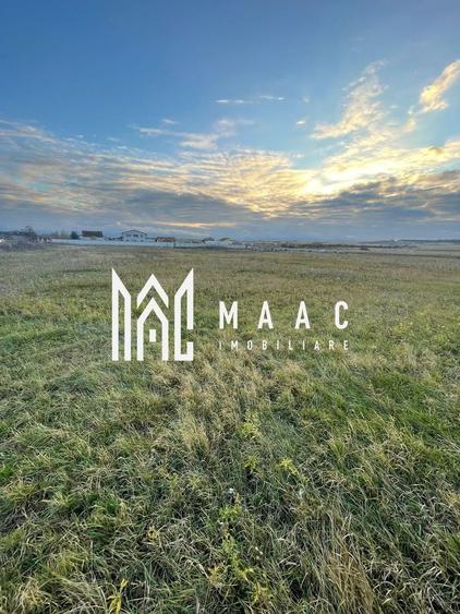 Teren intravilan | 2.100 mp  | Șura Mică - 2