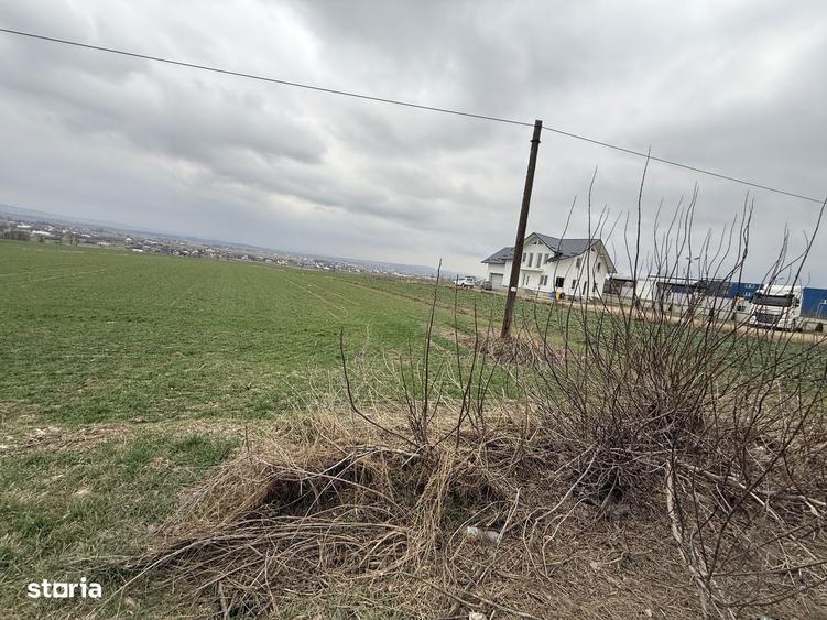 Teren intravilan | Granicesti | 32 ARI - 4