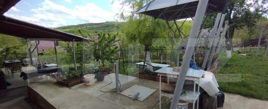 Casa+ casa vacanta, 2200 mp livada, Schitu-Duca - 2