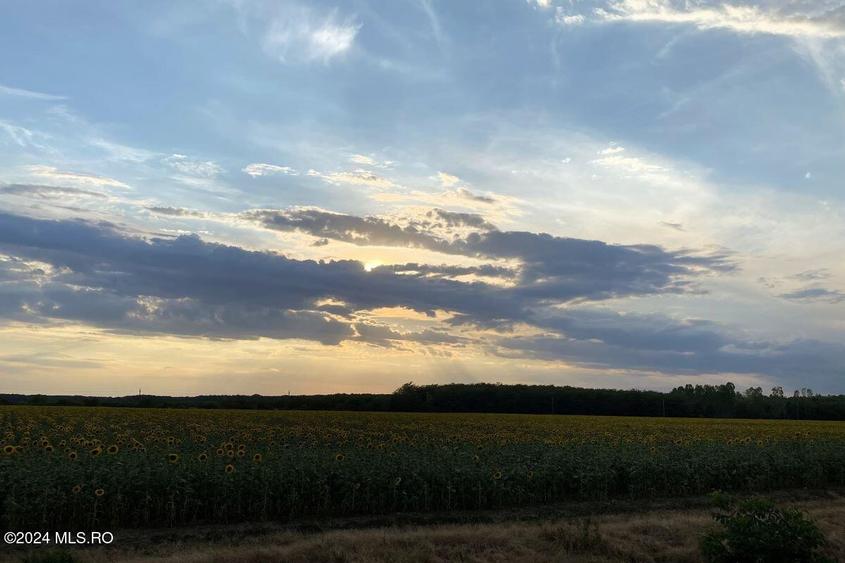 Tamasi, langa padure, 12.824 mp, deschidere 45 ml, teren cu potential! - 12