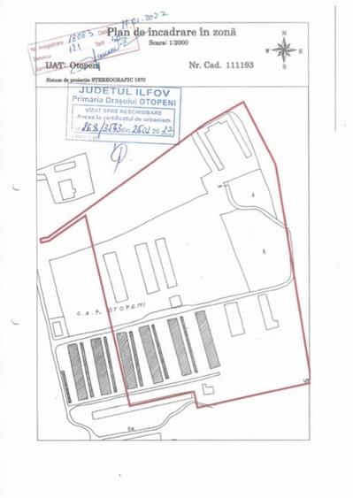 Teren 80.084 mp Otopeni - Intrarea Mesteacanului - 3
