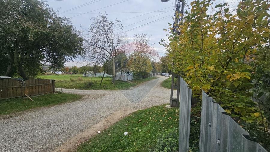 Casuta de la tara - 29