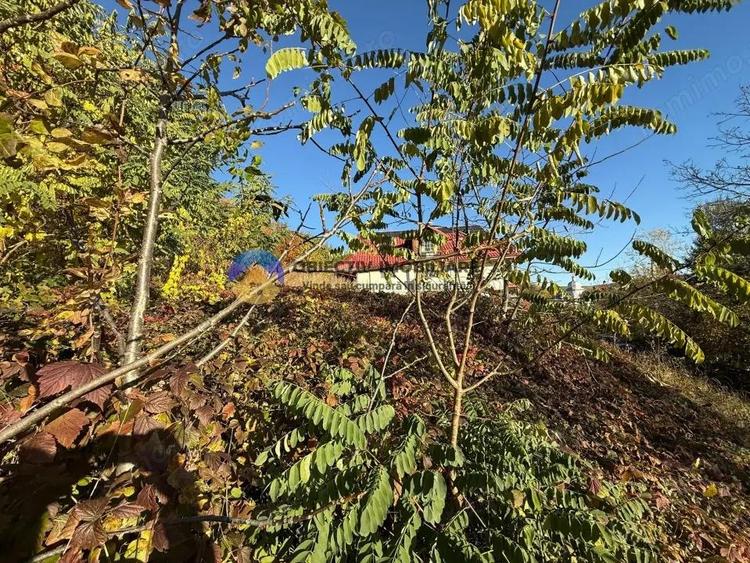 Teren intravilan 1543 mp zona Darmane?ti - 4