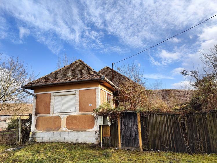 Casa saseasca si 2000 mp teren - 8