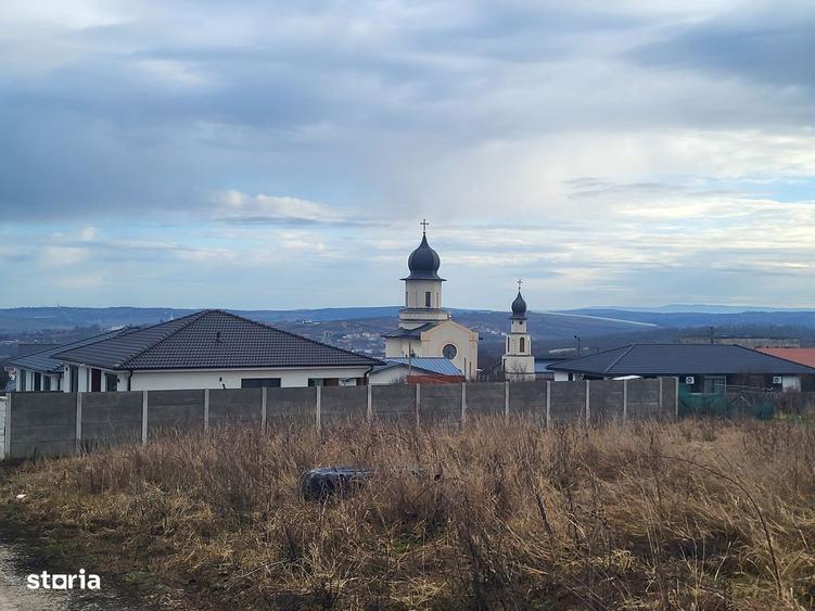 2380 mp teren in Paleu, strada Teiului - 4