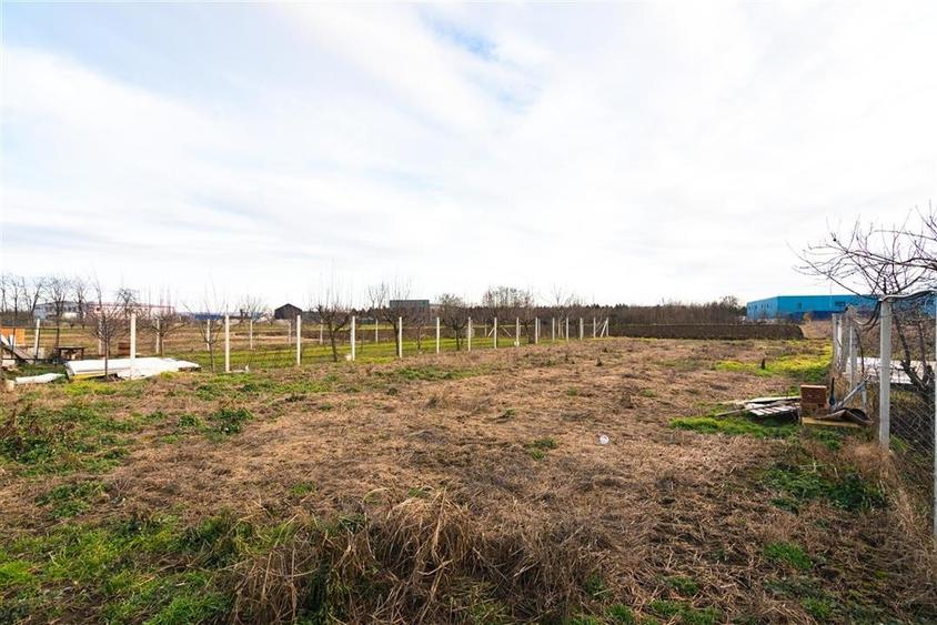 Teren intravilan cu toate utilitatile in Bors - 7