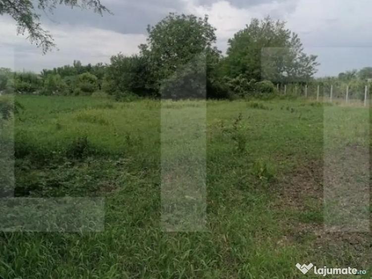 Casa batraneasca de vanzare Brae?ti, jude?ul Bot - 2