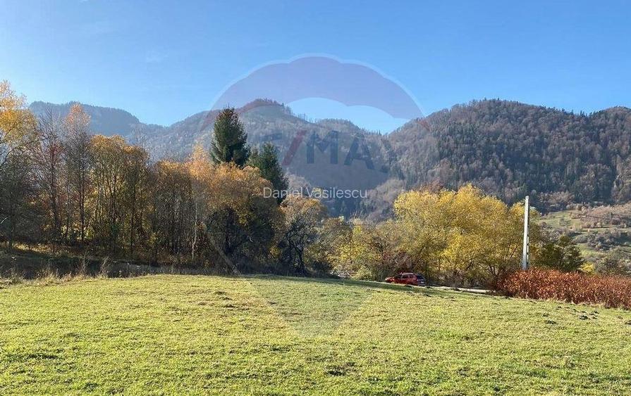 Teren Zarnesti- Tohanita, 4312 mp, deschidere generoasa d...