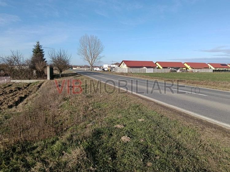 Teren intravilan investitie, urbanism rezidential si dotari, Bucovat - 2