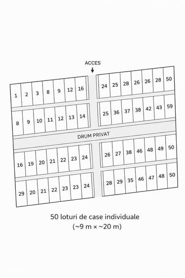 Teren intravilan TunariDimieni, 20.867 mp, ideal investitie - 11