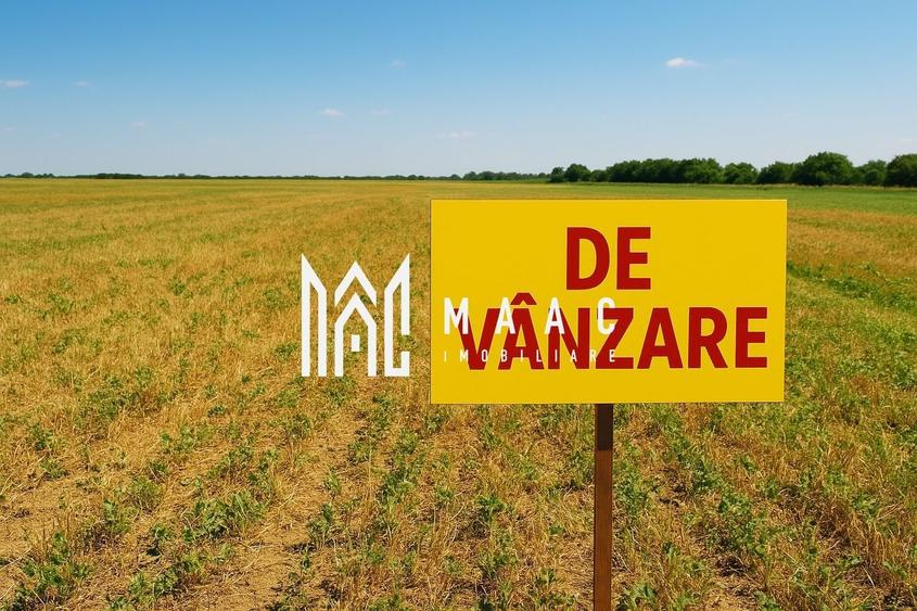 Teren | Extravilan |  2.269 MP | Daia - 3