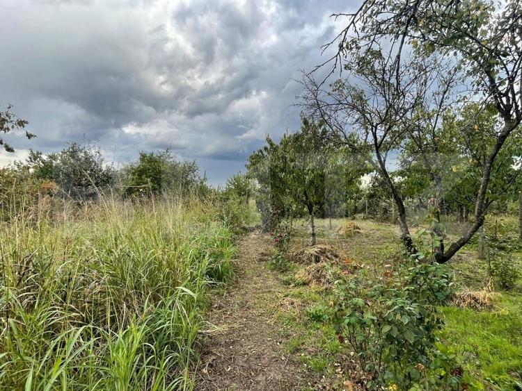 Casa si teren de 2368 mp , Zona Calea Bucuresti - 2