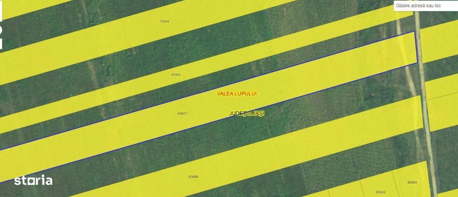 Teren 1 ha intravilan Valea Lupului - 1
