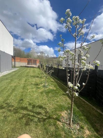 Casa individuala, 4 camere, Faget, superfinisata - 15