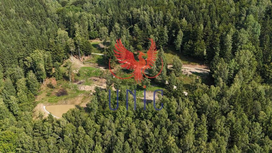 18000 mp de natura pura ,Lupeni, langa Straja - 8