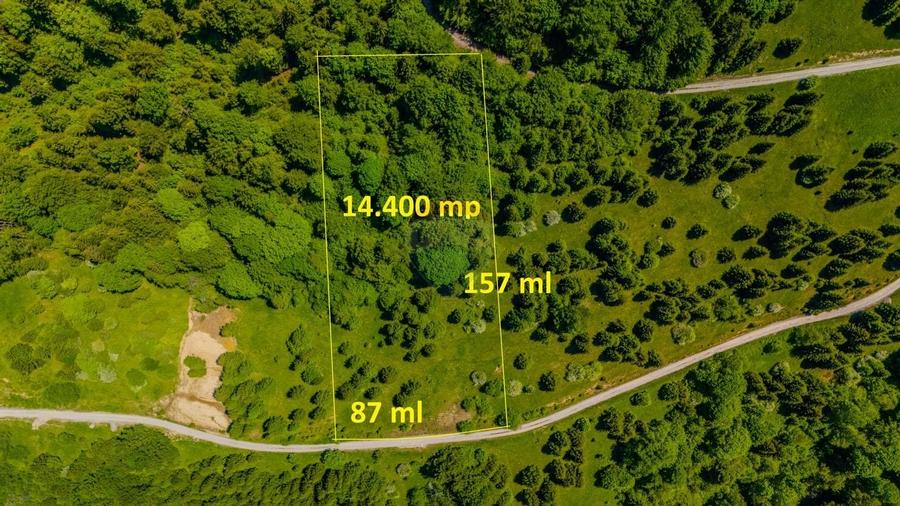 Teren extravlan 14,400mp Paraul Rece / Strada 3 brazi - 6