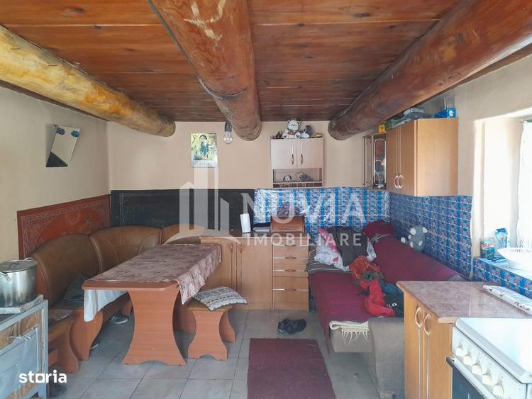 Corp de 2 case individuale, zona Intregalde, 130mp utili si 1035 mp te - 2